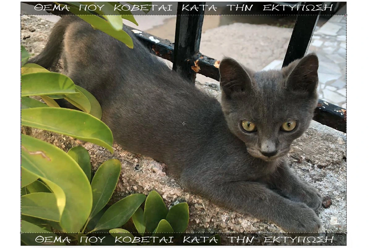 Εκτύπωση φωτογραφιών από το Print-Photos-Online.com Εκτύπωση φωτογραφιών από το Print-Photos-Online.com